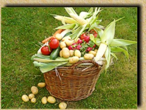 Erntedank-Korb mit Gemüse von Feld und Garten