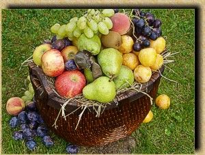 Erntedank-Korb mit Obst